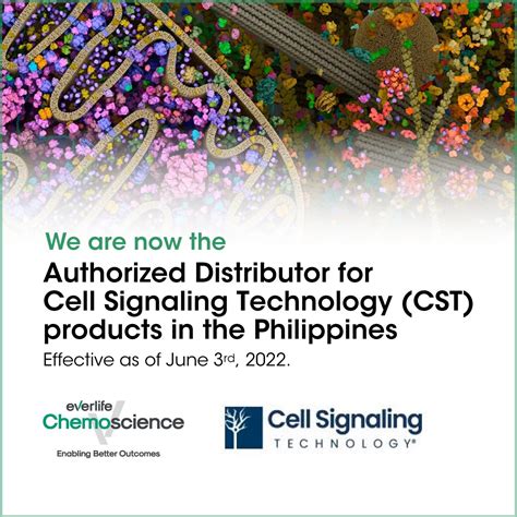 chemoscience philippines|CHEMOSCIENCE PHILS. INC. .